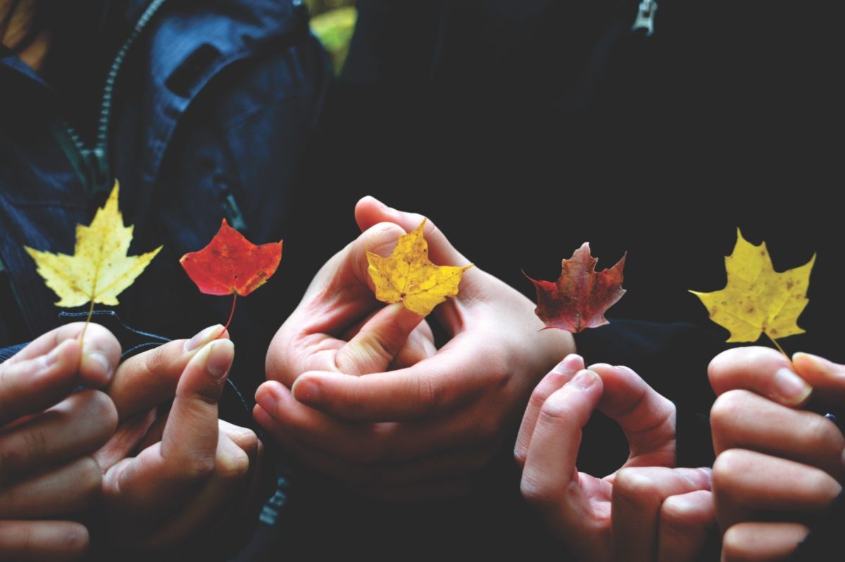 Slider Home 1 Five hands holding each a maple leaf // Accueil 1 Cinq mains tenant chacune une feuille d'érable